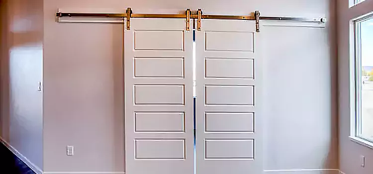 Glass Barn Door with Installation Hardware Kit Simi Valley